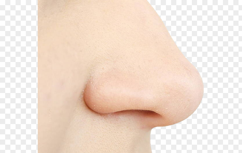 Human Nose Surgery Skin Facial Cheek PNG