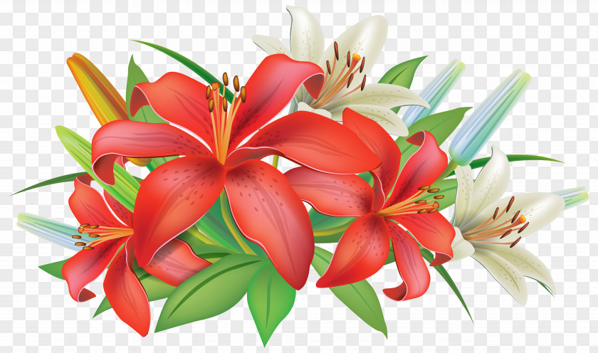 Red Lilies Flowers Decoration Clipart Image Pink Easter Lily Clip Art PNG