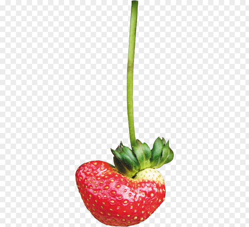 Strawberry Vegetable Food Clip Art PNG