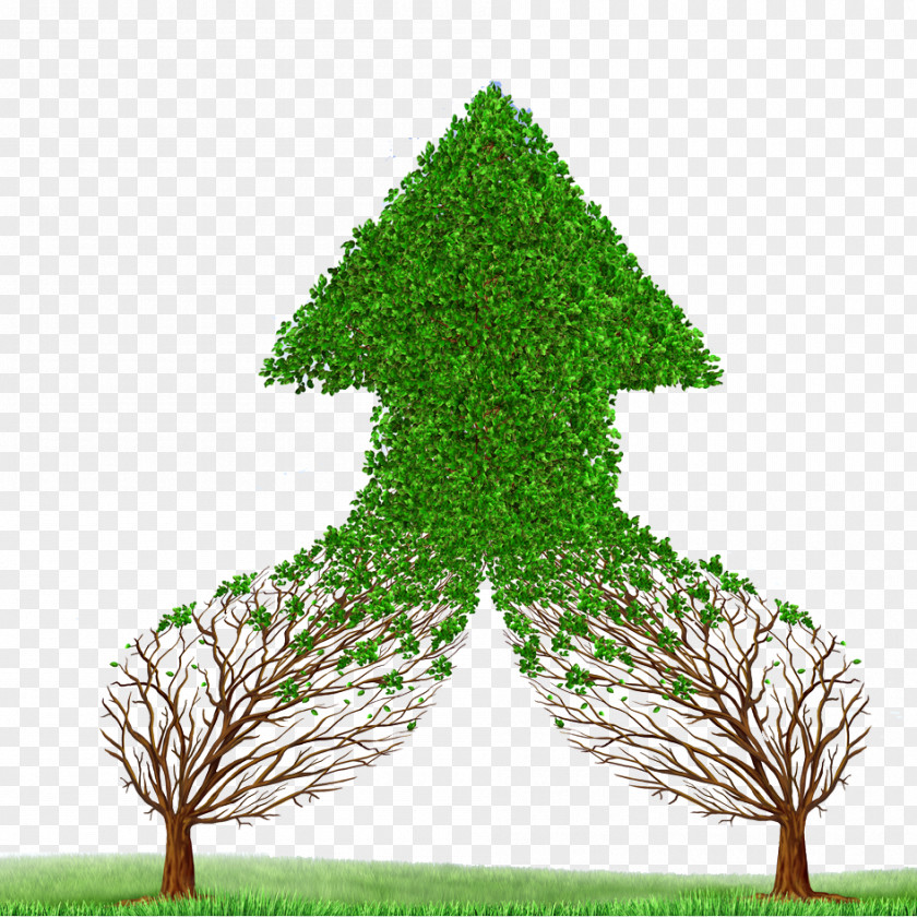 Beautiful Green Material Management Accounting Business Mergers And Acquisitions PNG