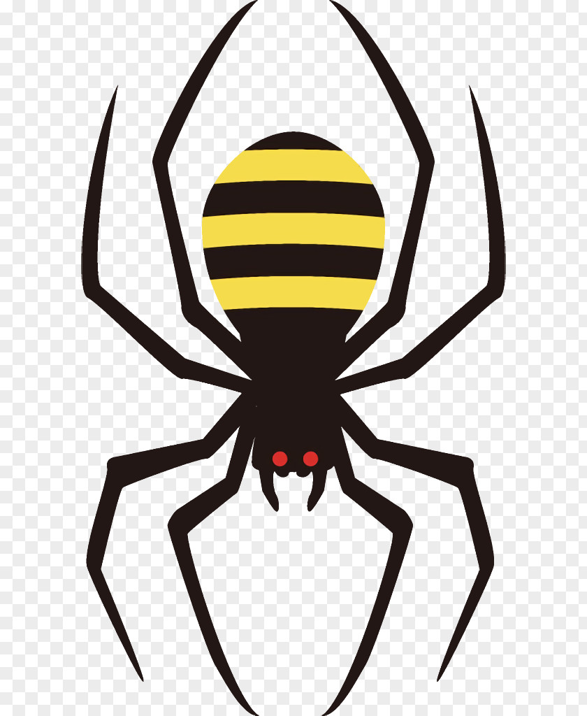 Arachnid Insect Spider Halloween PNG
