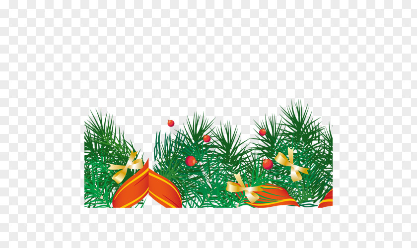 Plant Spruce Download Christmas Ornament Computer File PNG