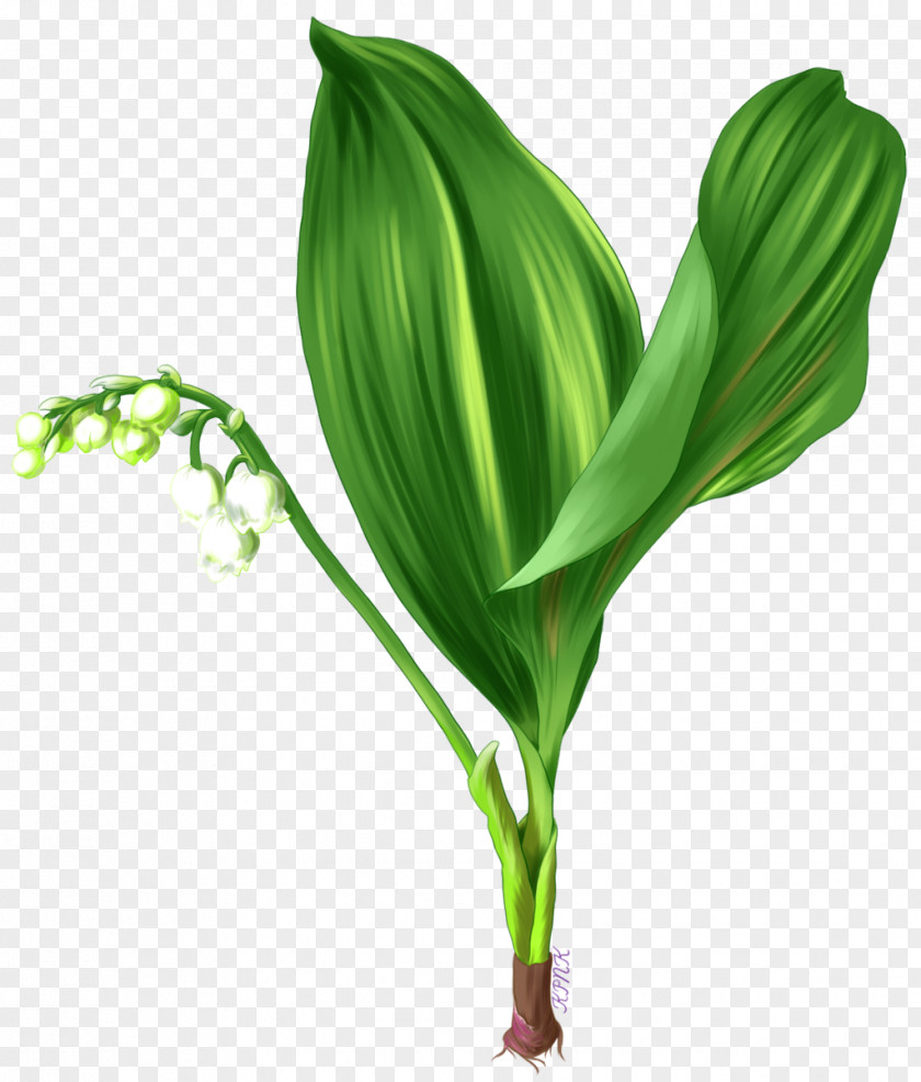 A Gentle Bargain To Send Gifts Leaf Grasses Plant Stem Flower Family PNG