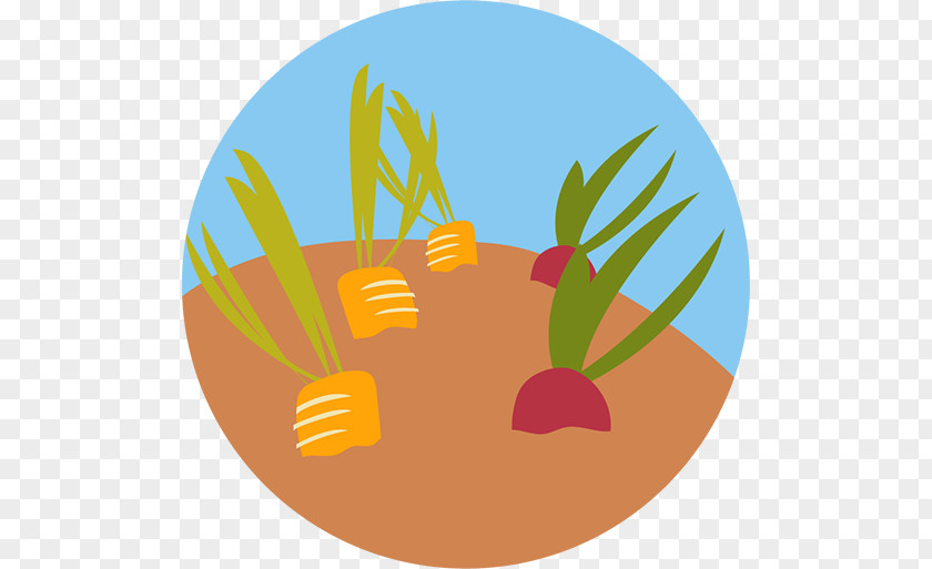 Agribusiness Infographic Clip Art Food Waste Cassava Bank PNG