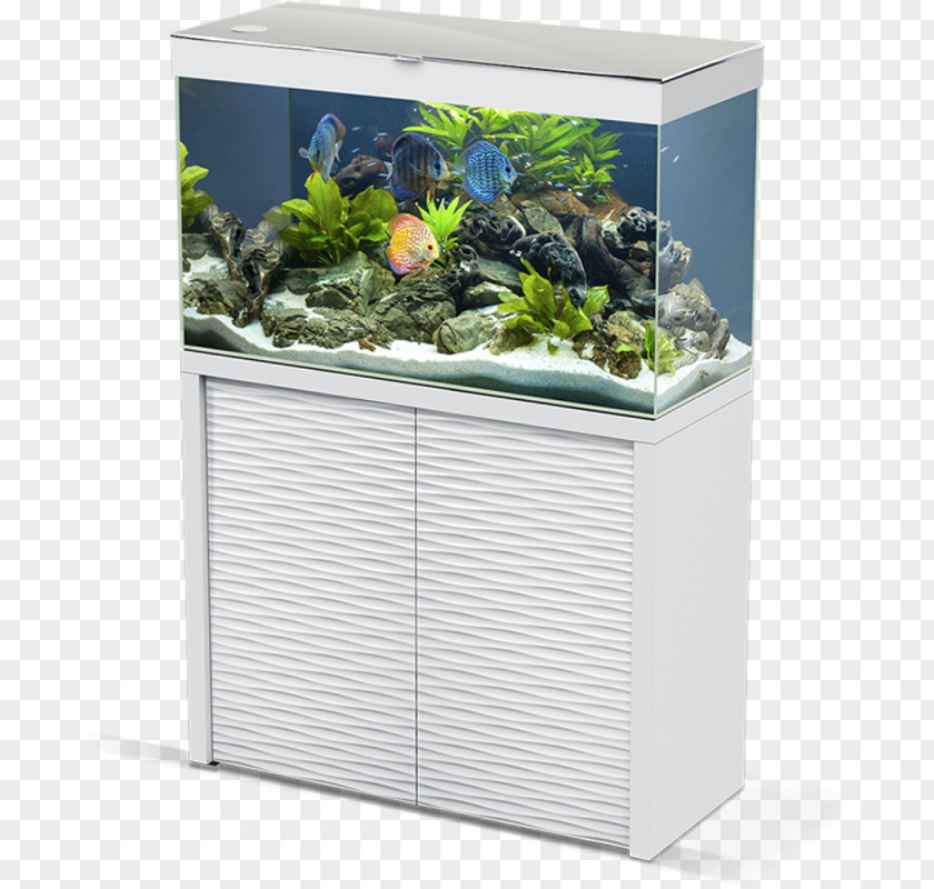 Aquariums White Filtration Cyan PNG