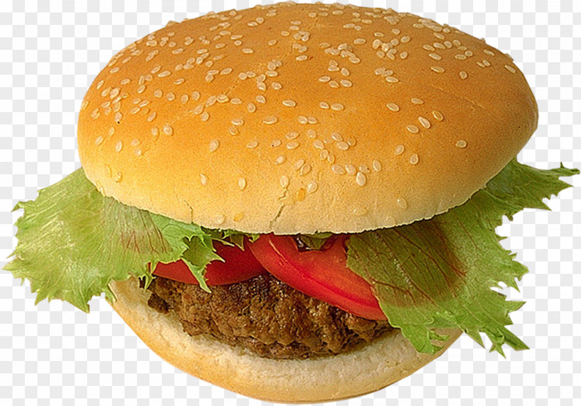 Health Cheeseburger Hamburger Buffalo Burger Slider Whopper PNG