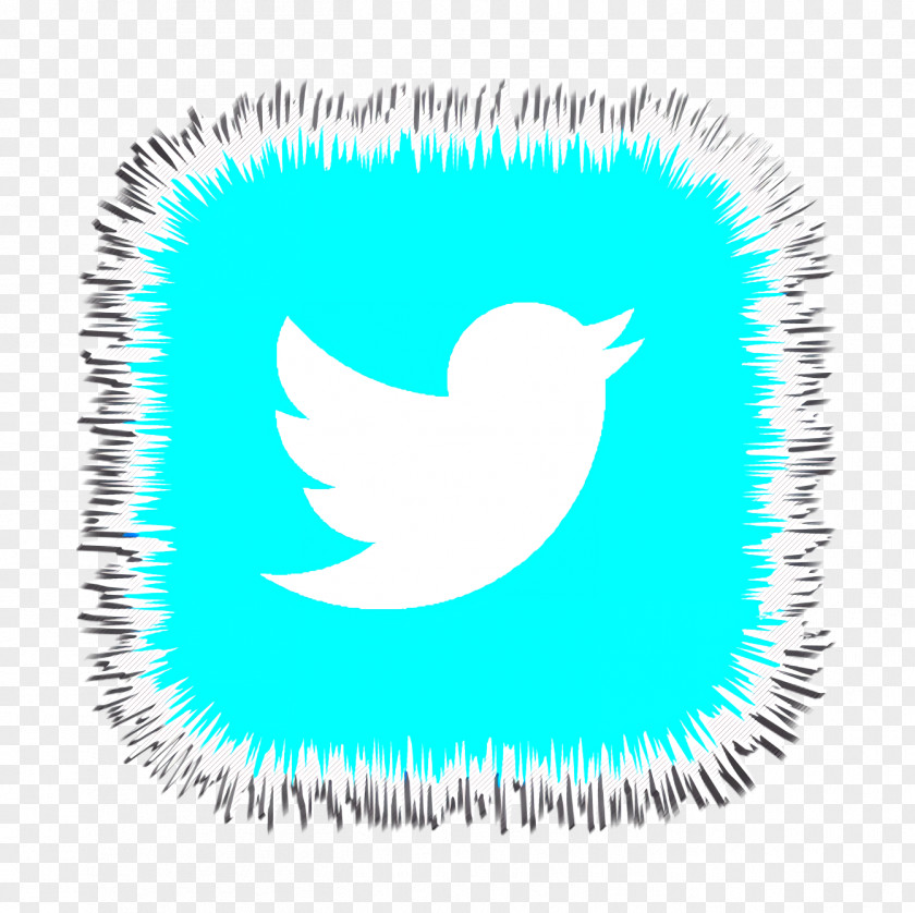 Logo Feather Social Media Icons Background PNG