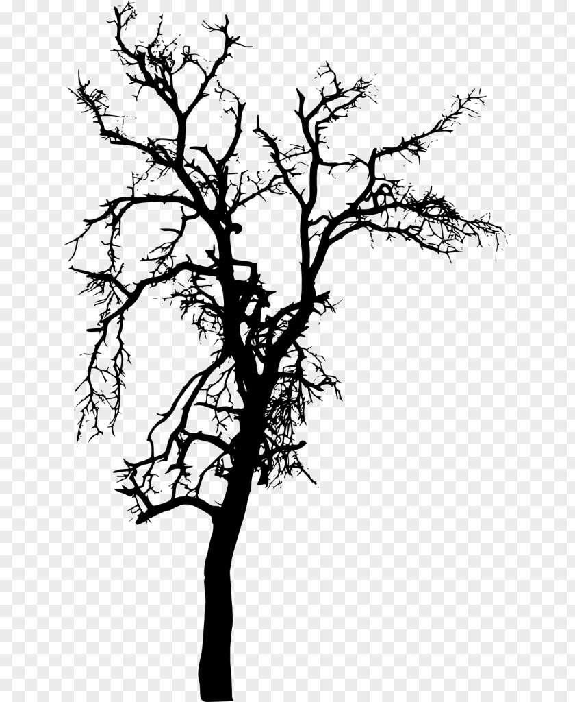 Silhouette Twig Tree PNG