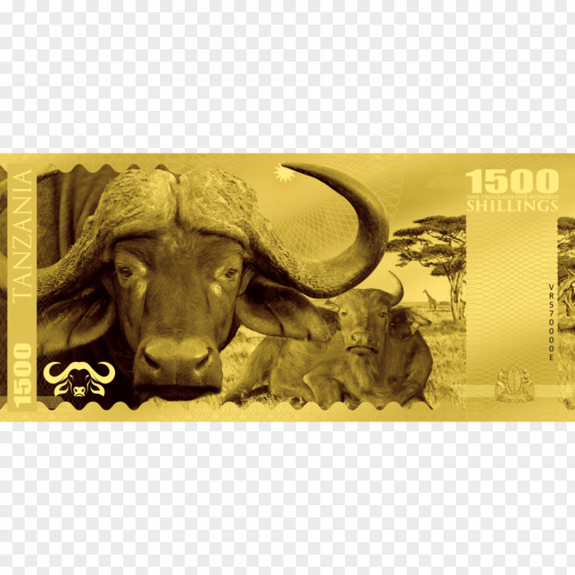 A Dog With Gold Ingot Certificate National Bank Note Coin As An Investment PNG
