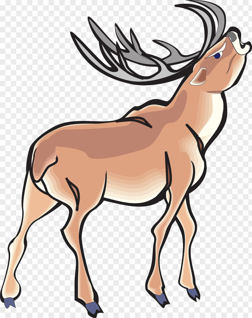 Deer Antler Clip Art PNG