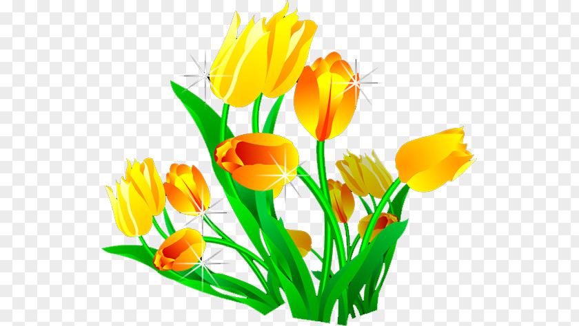 Lily Designer Tulip PNG