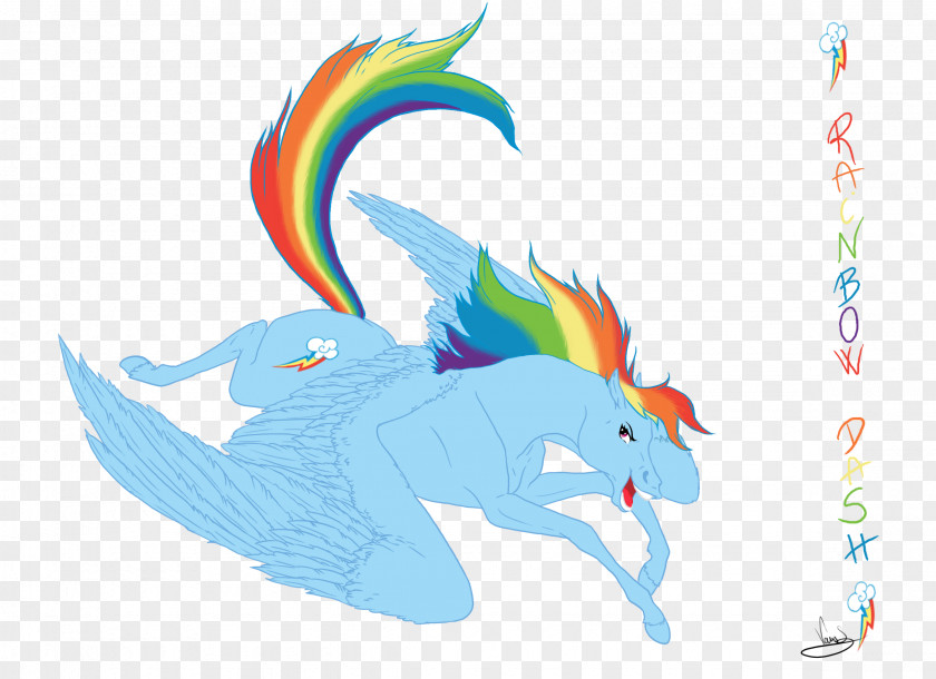 My Little Pony Rainbow Dash Rarity Applejack Pinkie Pie PNG