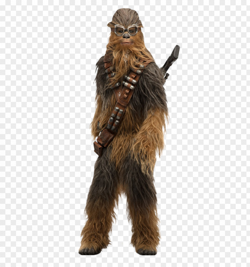 Star Wars Chewbacca Lando Calrissian Han Solo Cardboard Cut-Outs PNG