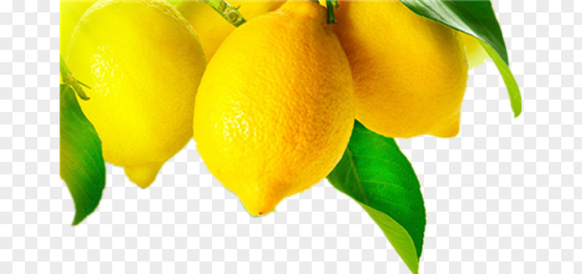 Yellow Grapefruit Juice Meyer Lemon Fruit Tree PNG