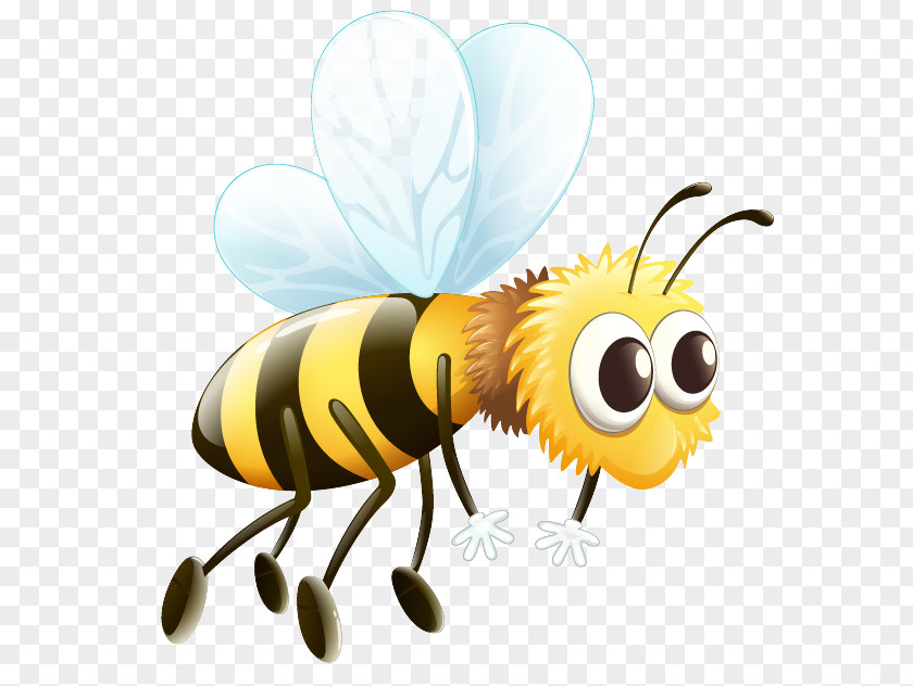 Bee Western Honey Vector Graphics Clip Art Drone PNG
