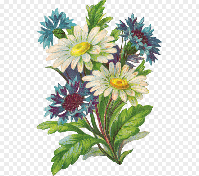 Floral Design PNG