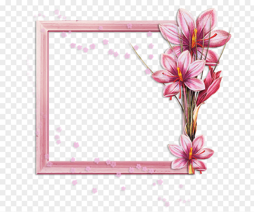 Flower Floral Design PNG