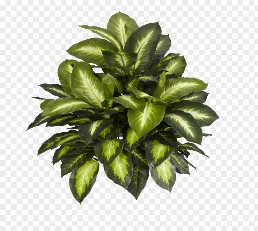 Leafs Plant Silk Artificial Flower Areca Palm PNG