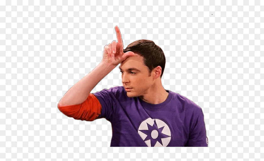 The Big Bang Theory Jim Parsons Sheldon Cooper Leonard Hofstadter Bernadette Rostenkowski PNG