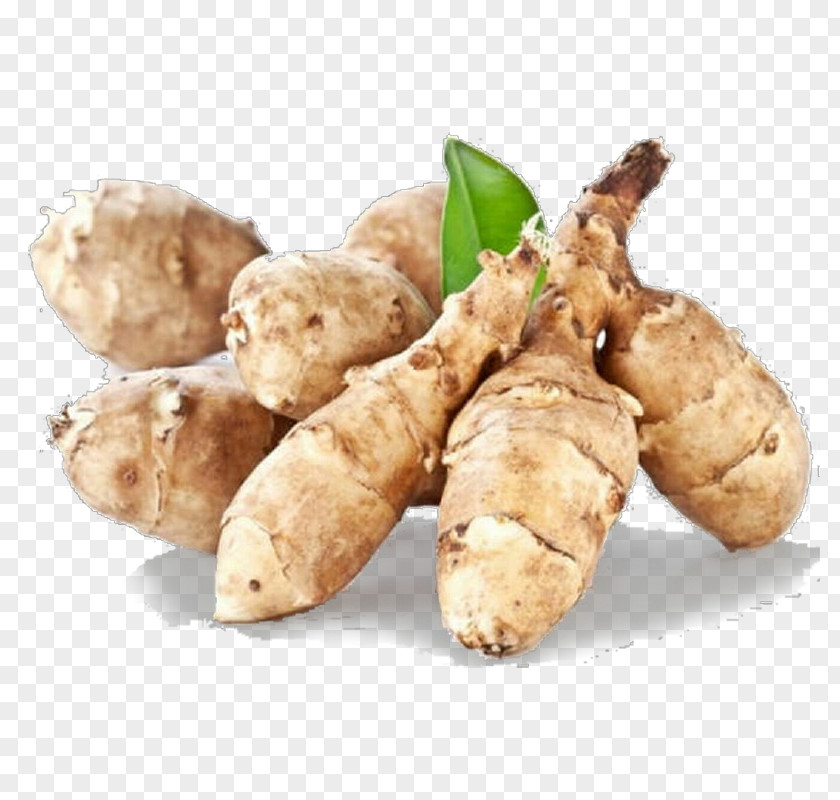 Tuber Zedoary Ginger Root Vegetable Jerusalem Artichoke PNG