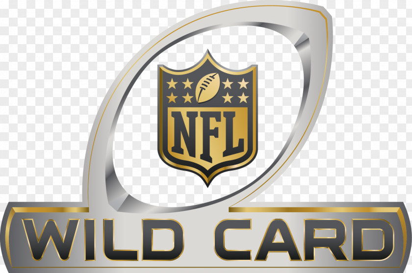 Atlanta Falcons NFL National Football League Playoffs New Orleans Saints Super Bowl Green Bay Packers PNG