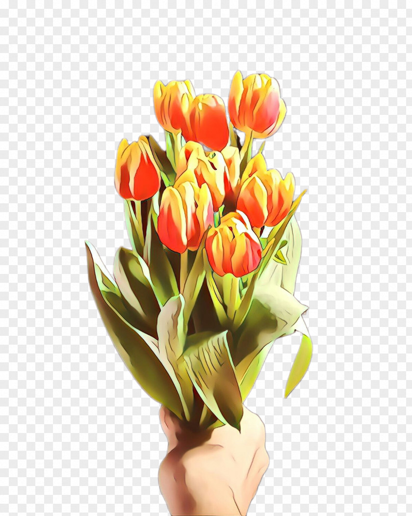 Bud Lily Family Flower Cartoon PNG