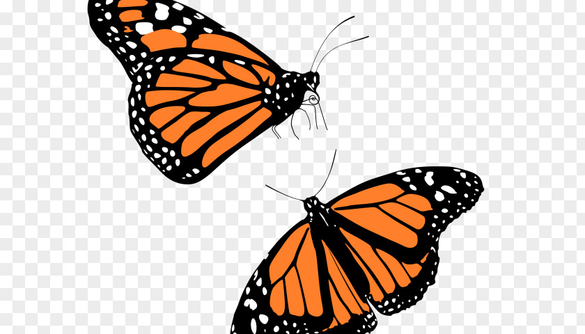 Butterfly The Monarch Clip Art PNG