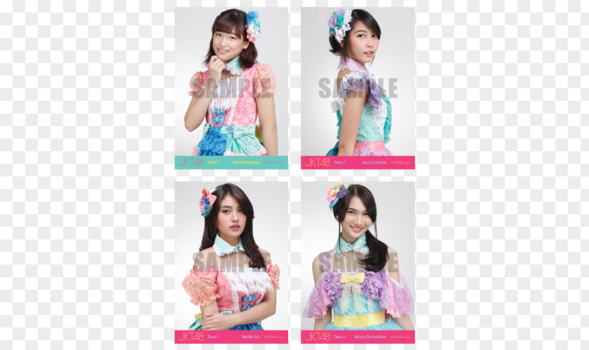 JKT 48 JKT48 AKB48 Group Photography Wig PNG