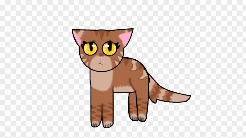 Kitten Whiskers Cat Dog Horse PNG