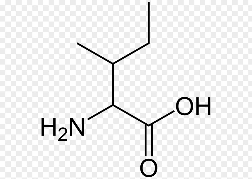 Maple Syrup Urine Disease Leucine Branched-chain Amino Acid PNG