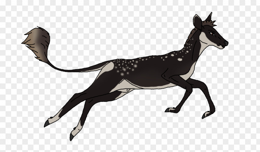 Mustang Dog Deer DeviantArt Birthday PNG
