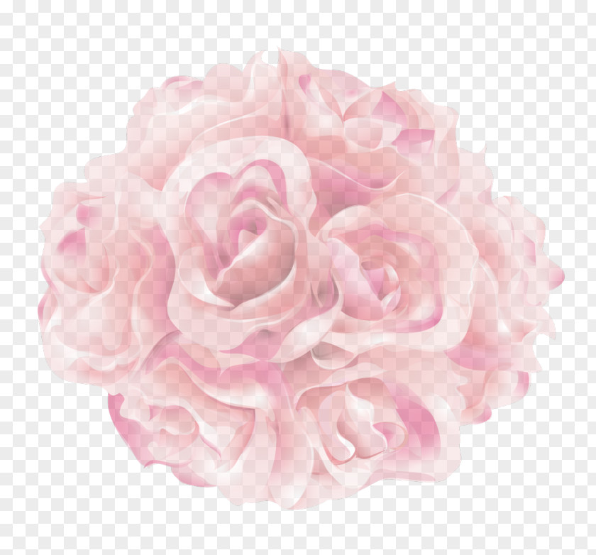 Pastel Flowers Rose Flower Preservation Pink Color PNG