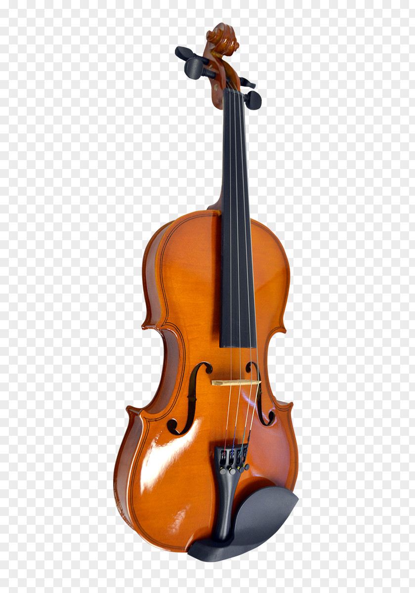 Violin Bass Viola Double Violone PNG