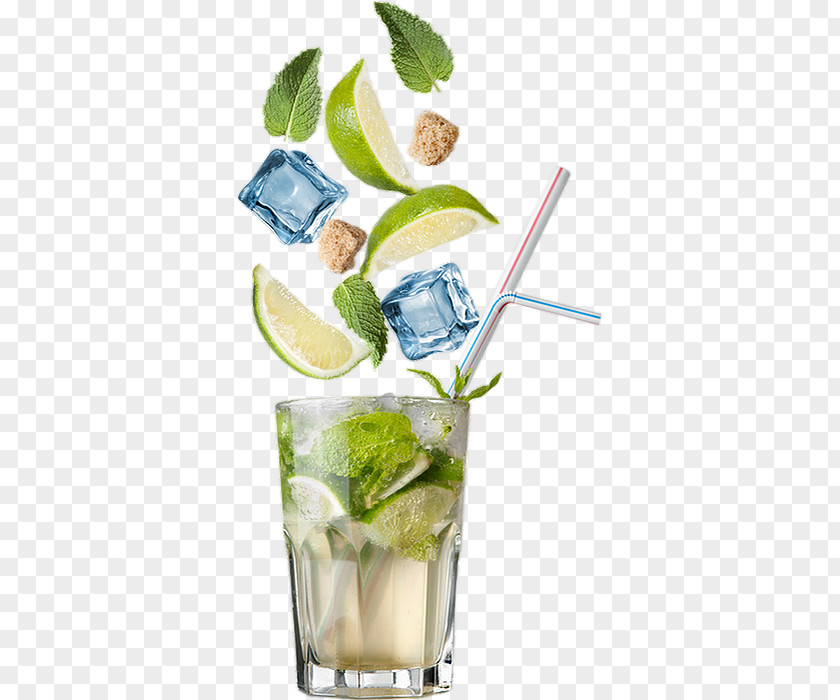 Alcoholic Beverage Vodka And Tonic Mojito PNG