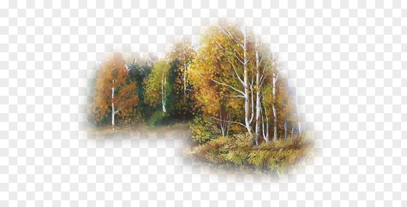 Autumn Landscape PNG