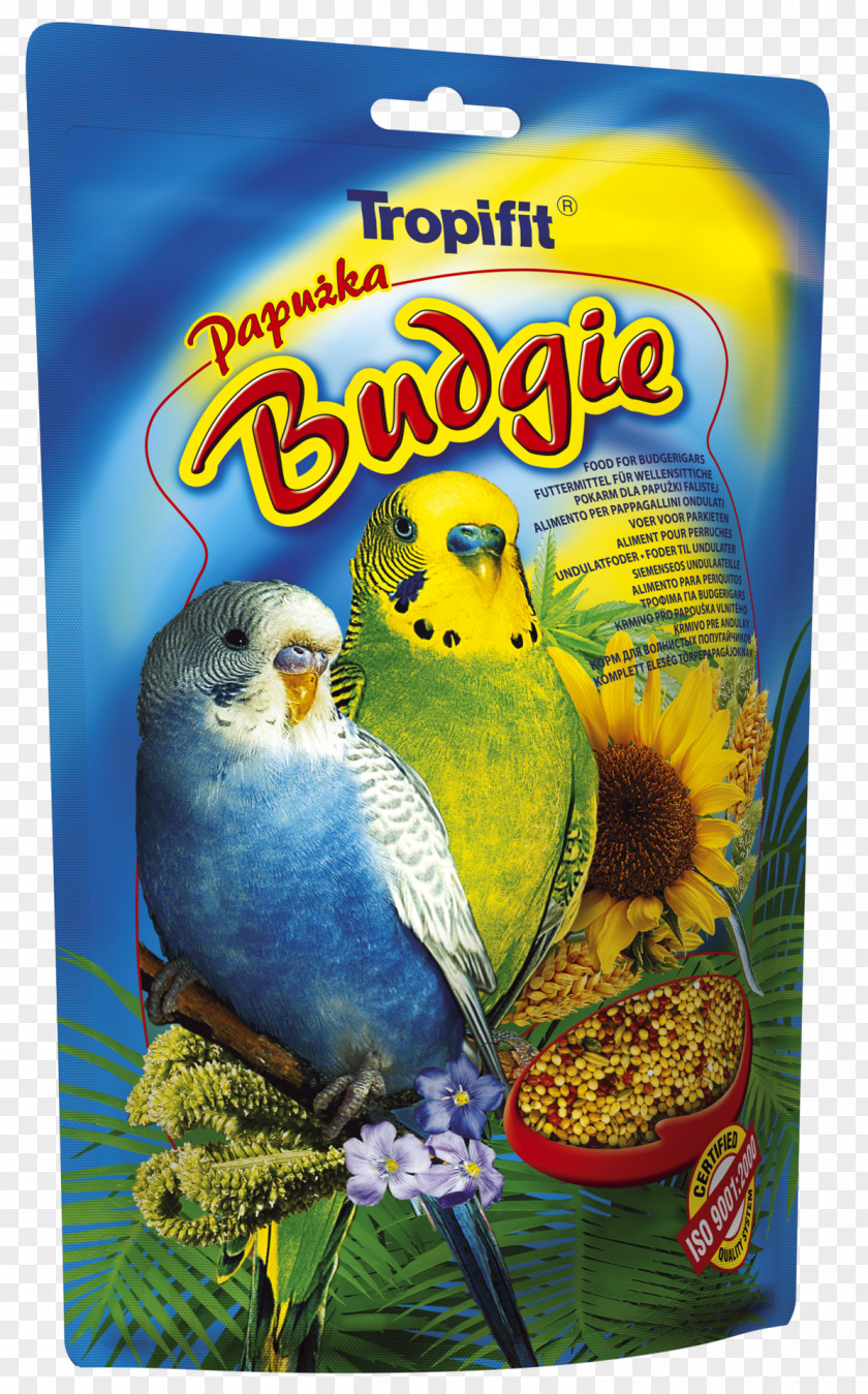 Bird Budgerigar Cockatiel Food Red Factor Canary PNG