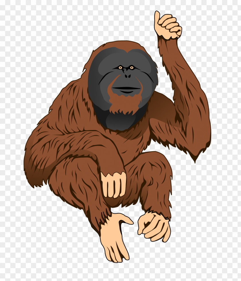 Cartoon Orangutan Bornean Sumatran Ape Clip Art PNG