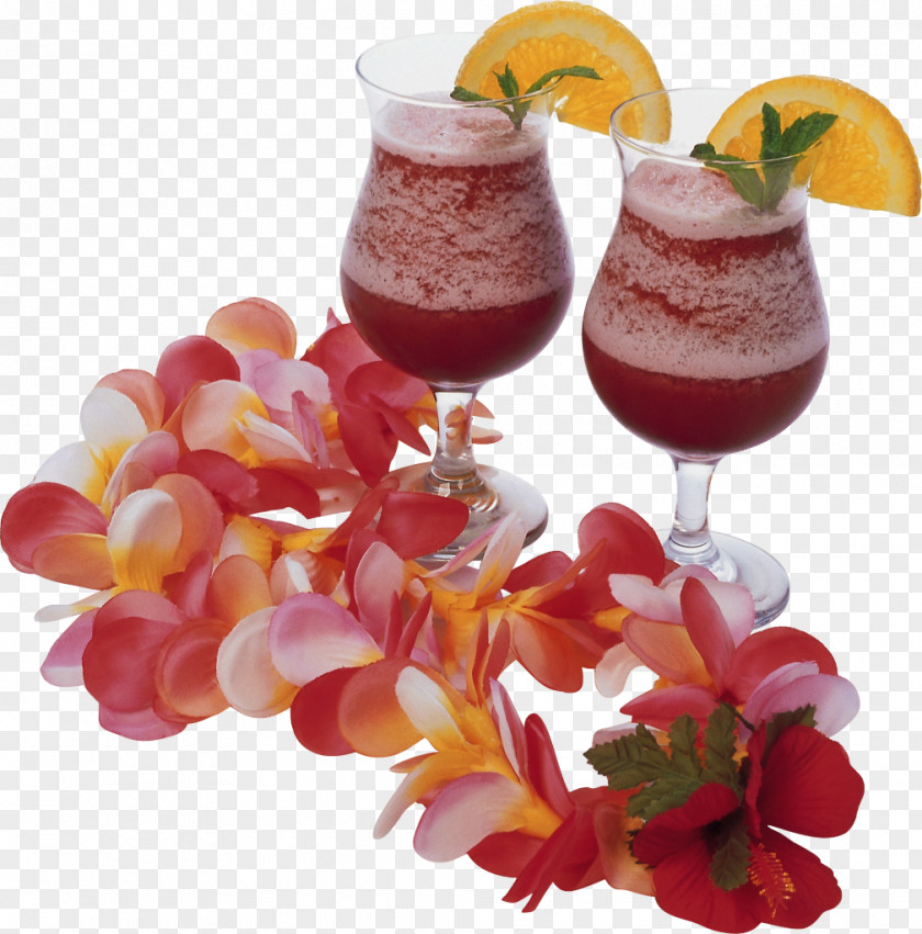 Cocktail Garnish Wine Juice PNG