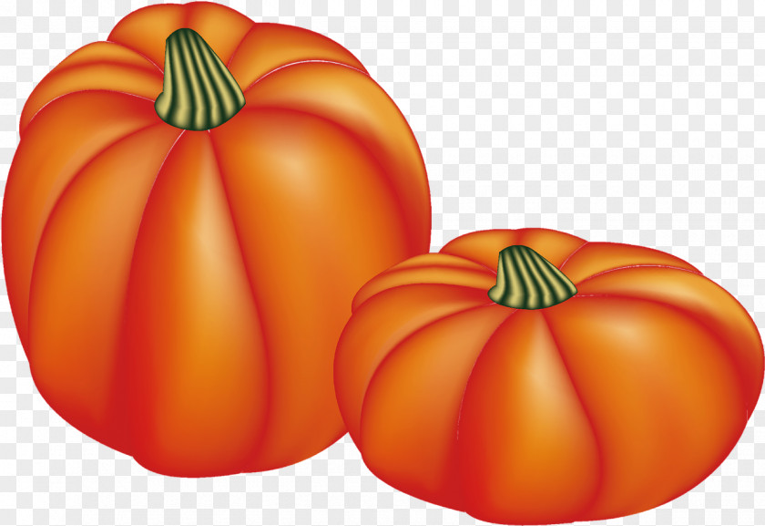 Pumpkin Gourd Winter Squash Tomato Calabaza PNG