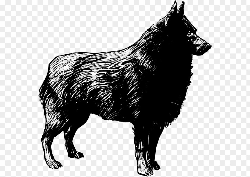 Schipperke German Shepherd Tamaskan Dog Clip Art PNG