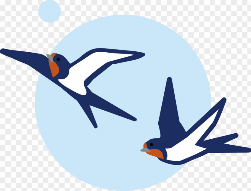 Barn Swallow Edible Bird's Nest Fledge Season PNG