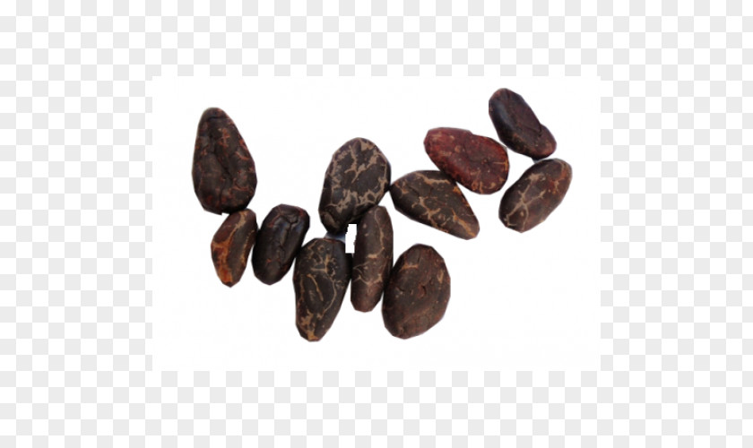 Cacao Bean Commodity PNG