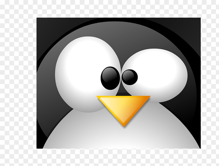 MX Linux Penguin Tux Racer Desktop Wallpaper PNG