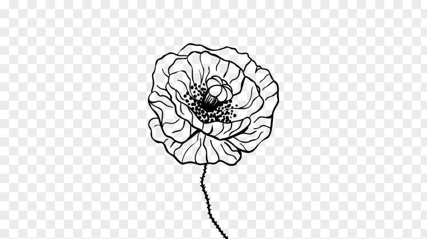 Painting Common Poppy Drawing Coloring Book PNG