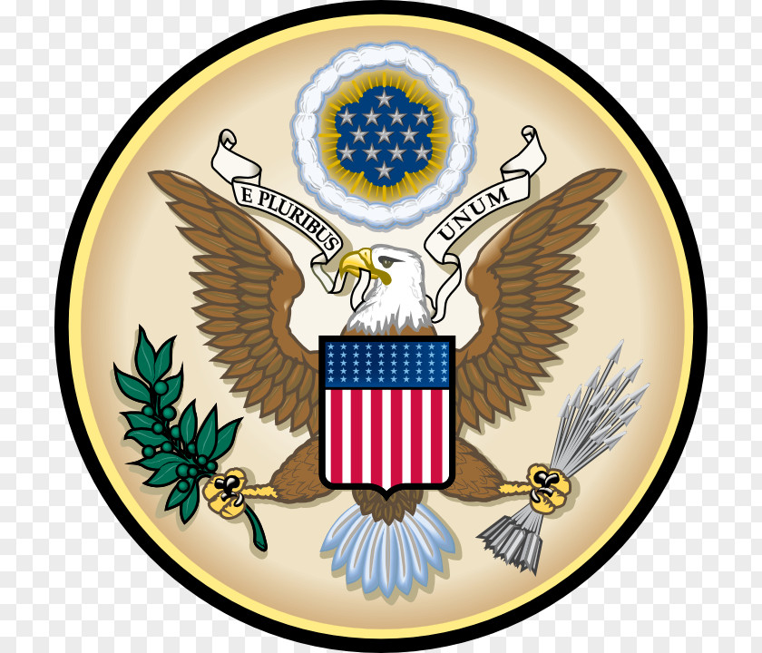 Cartoon Bald Eagle United States Symbol Clip Art PNG
