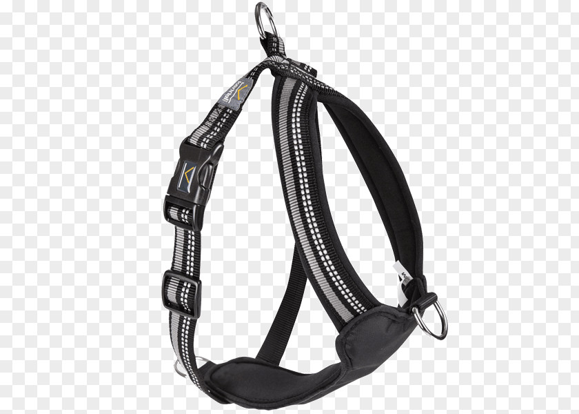 Dog Harness Kennel Collar Leash PNG