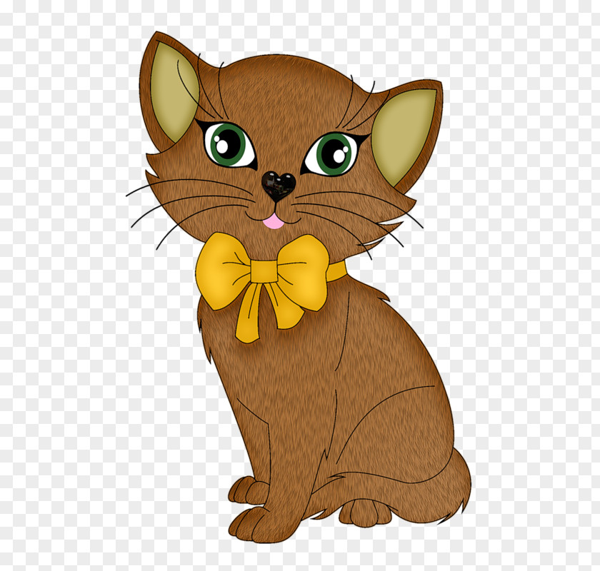 Kitten Whiskers Domestic Short-haired Cat PNG
