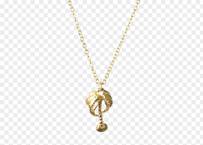 Necklace Colored Gold Charms & Pendants Jewellery PNG