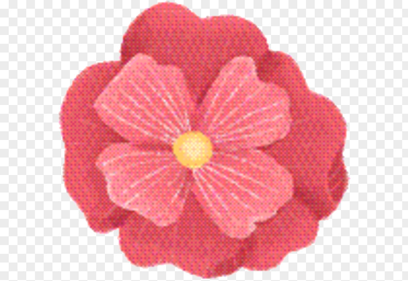 Perennial Plant Impatiens Pink Flower Cartoon PNG