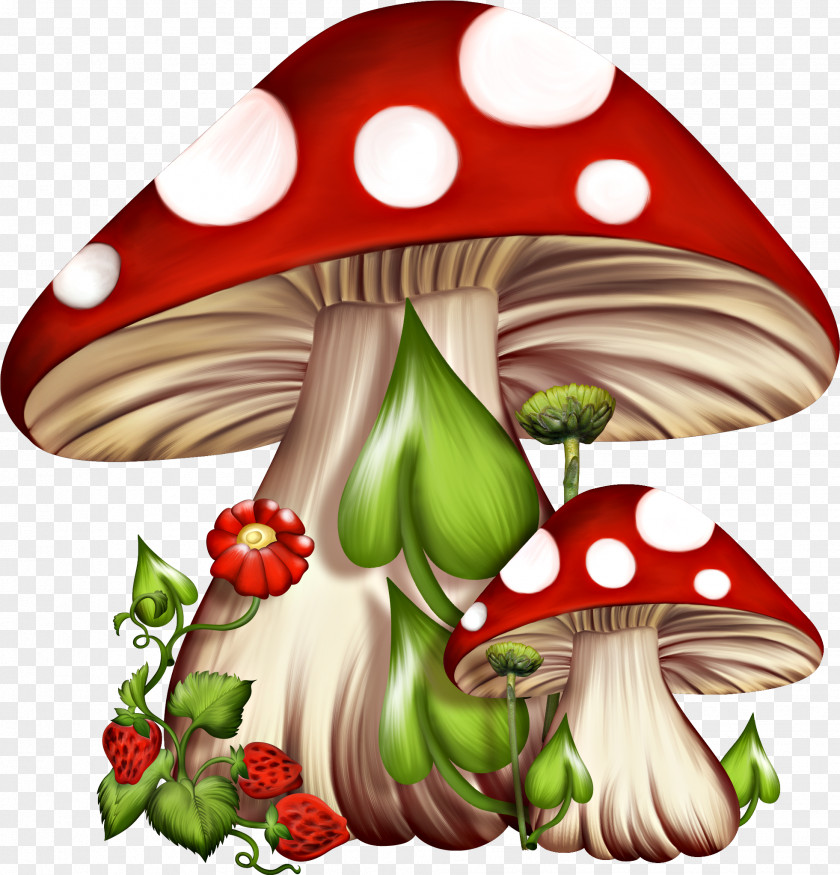 Plant Agaric Mushroom Cartoon PNG